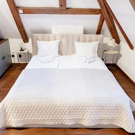 公寓 Stunning Three-level In Historic Old Town 塔林